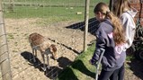 Farm visit