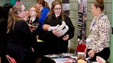 Careers Fair -3