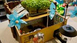 Eco-community