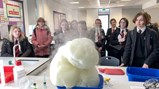 British Science Week