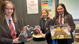Year 8 volcanos