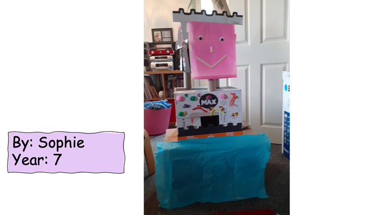 Virtual STEM club