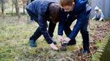 Gardening club