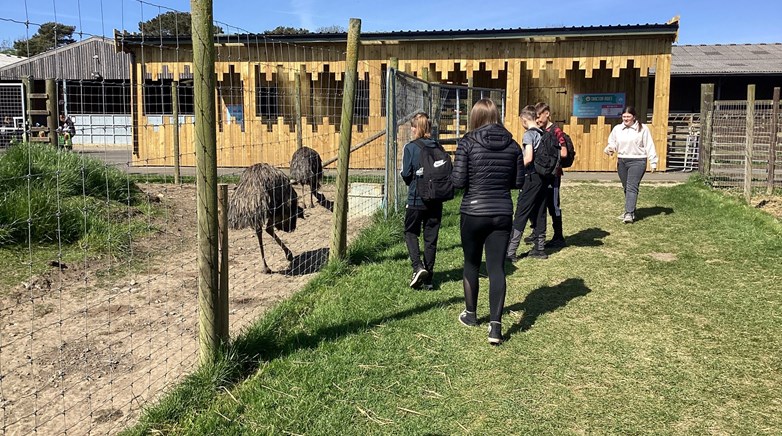 Farm visit