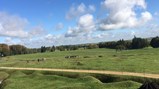 Two students visit WW1 battlefields in Belgium-21