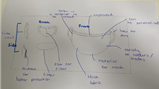 Science Week 2021