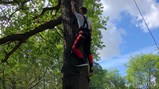 Activities week 2018