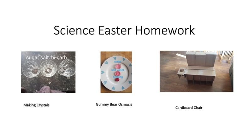Science project 