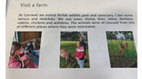 Year 7 homework