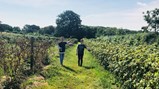 Activities week 2018