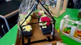 Greenhouse project
