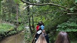 Year 8 geography