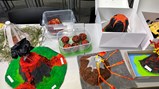 Year 8 homework
