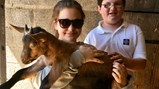 Francetrip2017 - 2