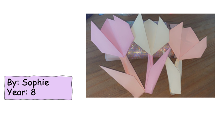 Week 2: Rockets 
