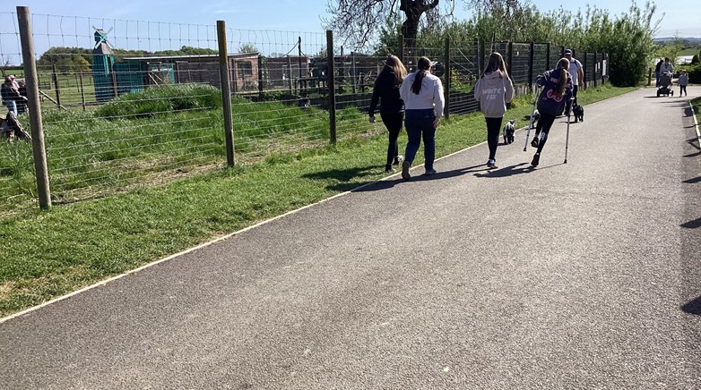 Farm visit