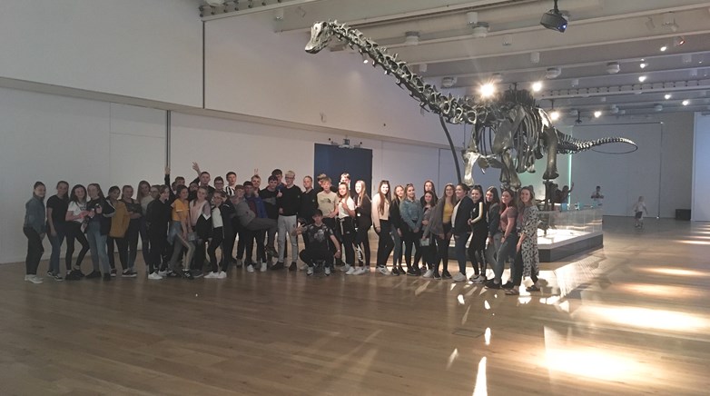 Activities Week 2019