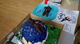 7228-cropped-w690-h415-of-1-dsc02681