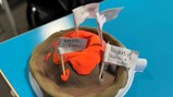 Year 8 volcanos