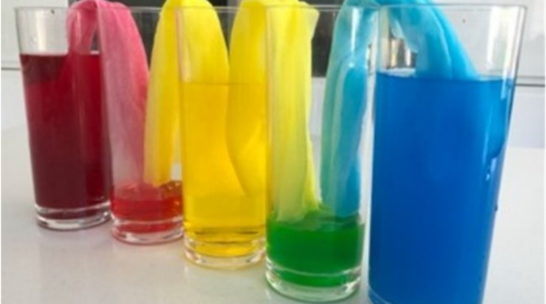 Science Week 2021
